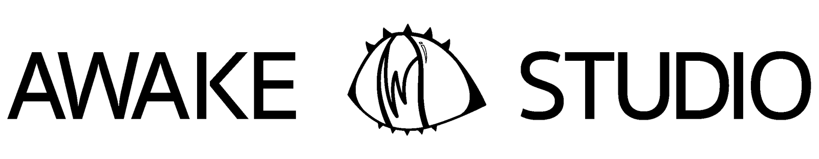 Awake Studio